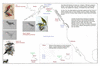 col16 hawaii to cook inlet_thumb.gif